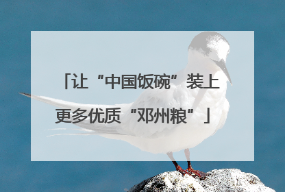 让“中国饭碗”装上更多优质“邓州粮”