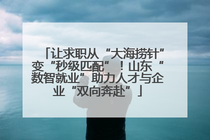 让求职从“大海捞针”变“秒级匹配”！山东“数智就业”助力人才与企业“双向奔赴”