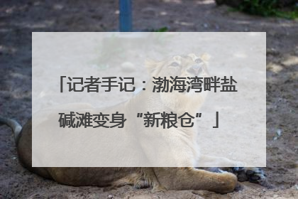 记者手记：渤海湾畔盐碱滩变身“新粮仓”