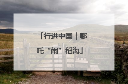 行进中国｜哪吒“闹”稻海