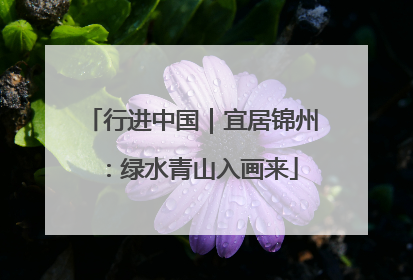 行进中国｜宜居锦州：绿水青山入画来