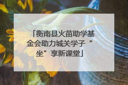 衡南县火苗助学基金会助力城关学子“坐”享新课堂