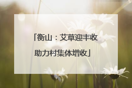 衡山：艾草迎丰收 助力村集体增收