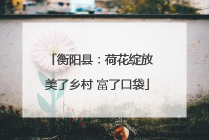 衡阳县：荷花绽放 美了乡村 富了口袋