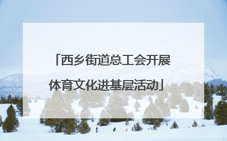 西乡街道总工会开展体育文化进基层活动