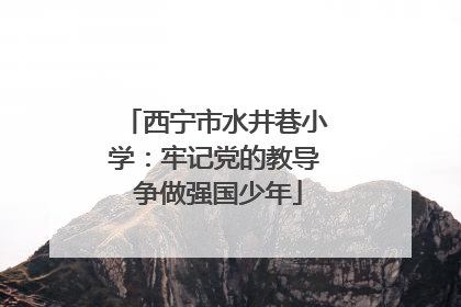 西宁市水井巷小学：牢记党的教导 争做强国少年