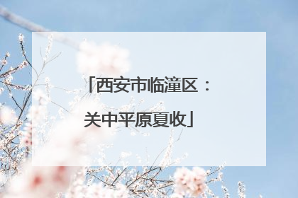 西安市临潼区：关中平原夏收