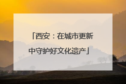 西安：在城市更新中守护好文化遗产