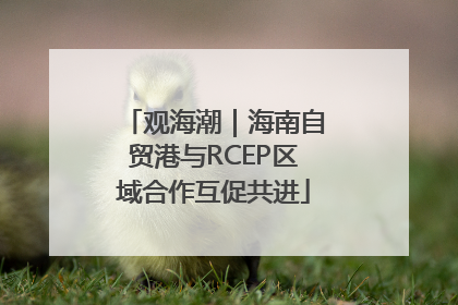 观海潮｜海南自贸港与RCEP区域合作互促共进