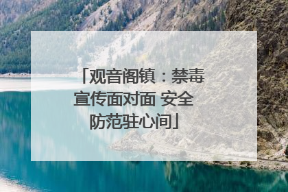 观音阁镇：禁毒宣传面对面 安全防范驻心间