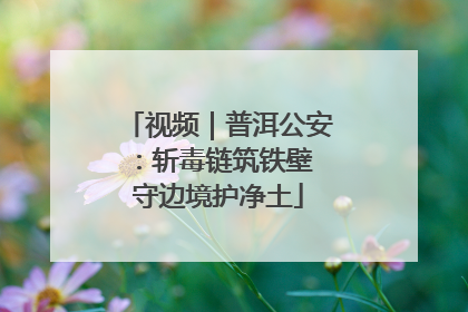 视频｜普洱公安：斩毒链筑铁壁 守边境护净土