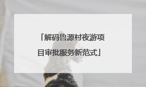 解码鲁源村夜游项目审批服务新范式