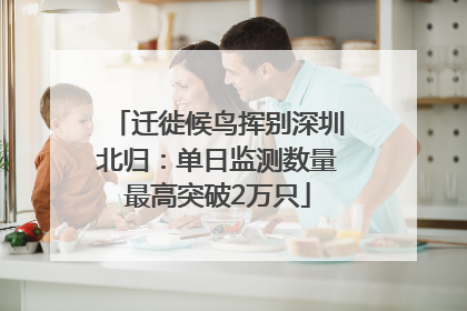 迁徙候鸟挥别深圳北归：单日监测数量最高突破2万只