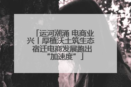 运河潮涌 电商业兴丨厚植沃土筑生态 宿迁电商发展跑出“加速度”