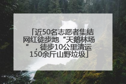 近50名志愿者集结网红徒步地“天鹅林场”，徒步10公里清运150余斤山野垃圾