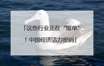 这些行业正在“爆单”！中国经济活力密码