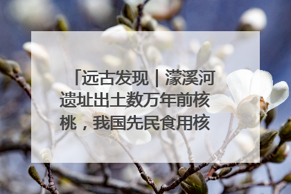 远古发现｜濛溪河遗址出土数万年前核桃，我国先民食用核桃历史大幅提前