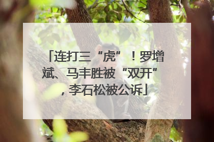连打三“虎”！罗增斌、马丰胜被“双开”，李石松被公诉