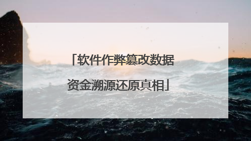 软件作弊篡改数据 资金溯源还原真相