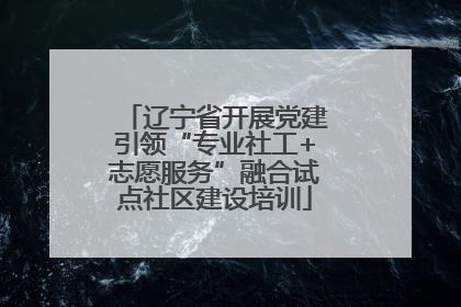 辽宁省开展党建引领“专业社工+志愿服务”融合试点社区建设培训
