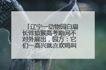 辽宁一动物园白眉长臂猿猴高考期间不对外展出，园方：它们一高兴就喜欢鸣叫，怕影响考试