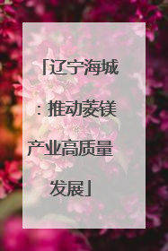 辽宁海城：推动菱镁产业高质量发展