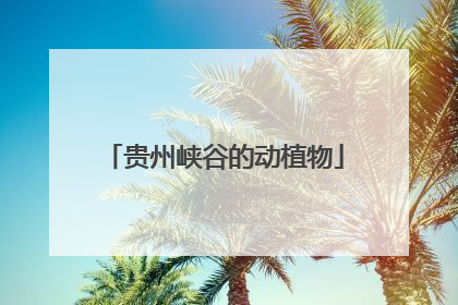 贵州峡谷的动植物