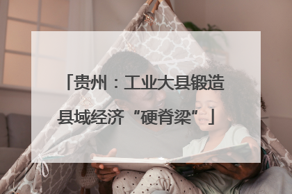 贵州：工业大县锻造县域经济“硬脊梁”