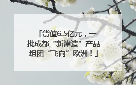 货值6.5亿元，一批成都“新津造”产品组团“飞向”欧洲！