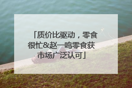 质价比驱动，零食很忙&赵一鸣零食获市场广泛认可
