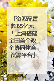 资源配置超65亿元！上海搭建全国首个政企协同体育资源平台