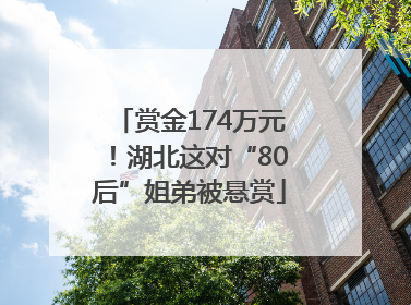 赏金174万元！湖北这对“80后”姐弟被悬赏