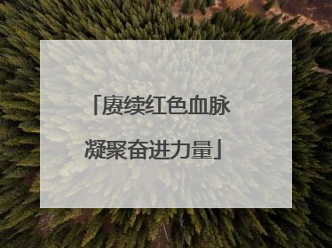 赓续红色血脉 凝聚奋进力量