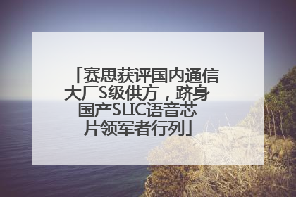 赛思获评国内通信大厂S级供方，跻身国产SLIC语音芯片领军者行列