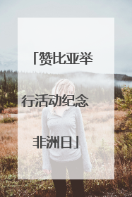 赞比亚举行活动纪念非洲日