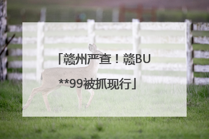 赣州严查！赣BU**99被抓现行