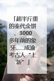 超半斤重的秦代金饼、3000多年前的象牙……成渝考古人“上新”
