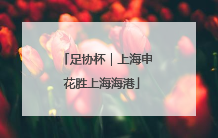 足协杯｜上海申花胜上海海港