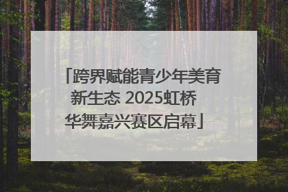 跨界赋能青少年美育新生态 2025虹桥华舞嘉兴赛区启幕