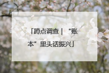 蹲点调查｜“账本”里头话振兴