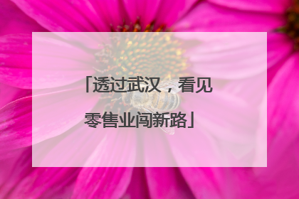 透过武汉，看见零售业闯新路
