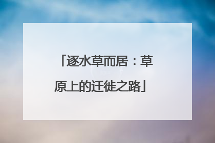 逐水草而居：草原上的迁徙之路