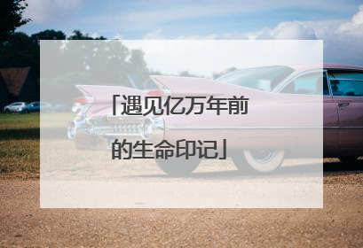 遇见亿万年前的生命印记