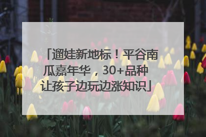 遛娃新地标！平谷南瓜嘉年华，30+品种让孩子边玩边涨知识