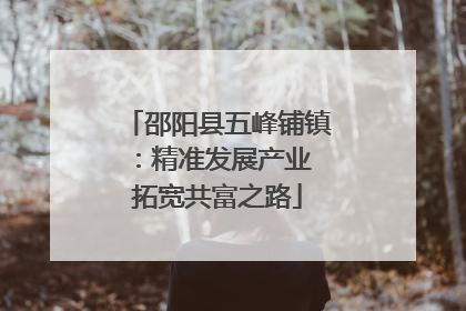 邵阳县五峰铺镇：精准发展产业 拓宽共富之路