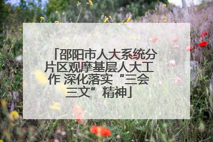 邵阳市人大系统分片区观摩基层人大工作 深化落实“三会三文”精神
