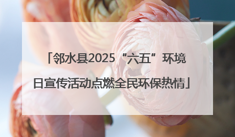 邻水县2025“六五”环境日宣传活动点燃全民环保热情