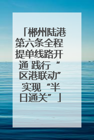 郴州陆港第六条全程提单线路开通 践行“区港联动” 实现“半日通关”