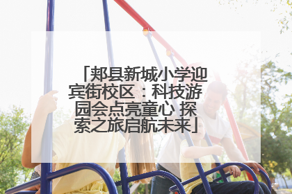 郏县新城小学迎宾街校区：科技游园会点亮童心 探索之旅启航未来