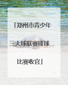 郑州市青少年三大球联赛排球比赛收官